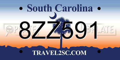 8ZZ591 South Carolina License Plate