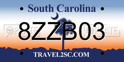 8ZZB03 South Carolina License Plate
