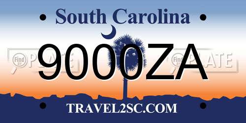 9000ZA South Carolina License Plate