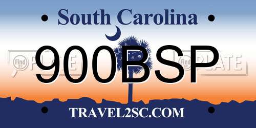 900BSP South Carolina License Plate