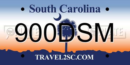 900DSM South Carolina License Plate