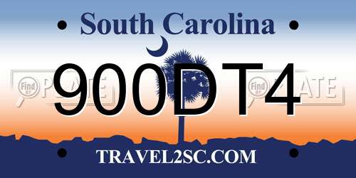 900DT4 South Carolina License Plate