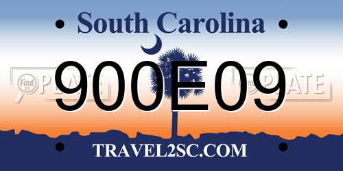 900E09 South Carolina License Plate