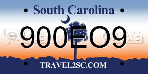 900EO9 South Carolina License Plate