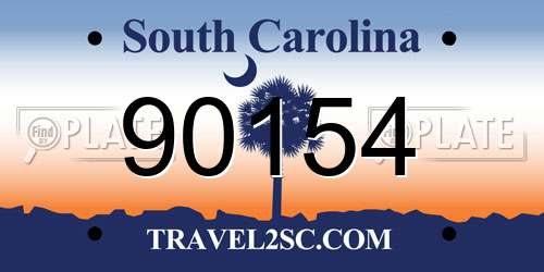 90154 South Carolina License Plate