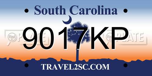 9017KP South Carolina License Plate