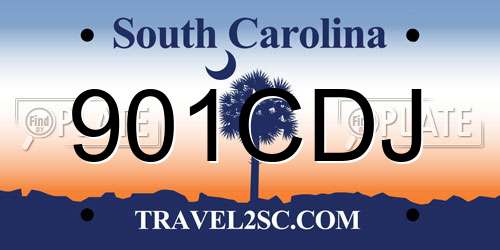 901CDJ South Carolina License Plate
