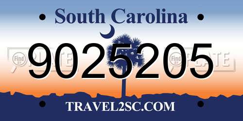 9025205 South Carolina License Plate