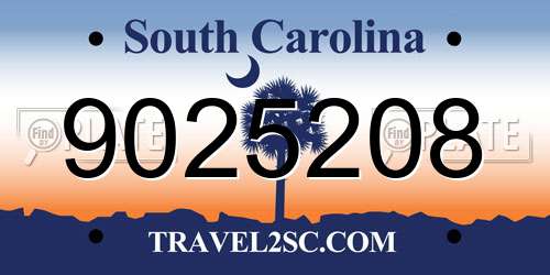 9025208 South Carolina License Plate