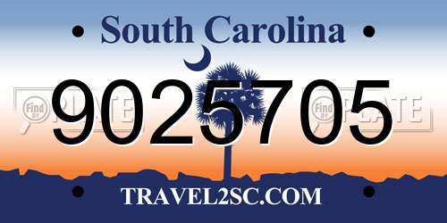 9025705 South Carolina License Plate