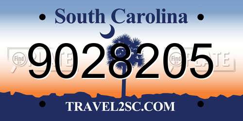 9028205 South Carolina License Plate