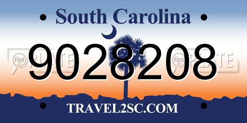 9028208 South Carolina License Plate