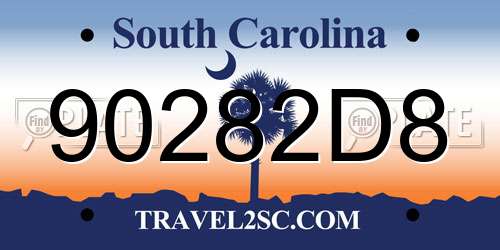 90282D8 South Carolina License Plate