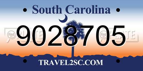 9028705 South Carolina License Plate