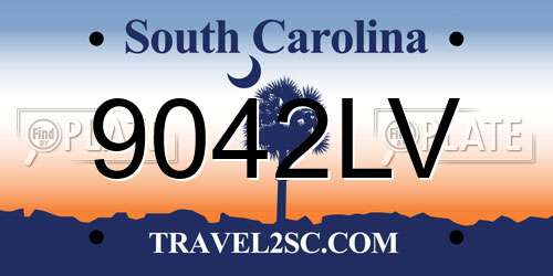 9042LV South Carolina License Plate