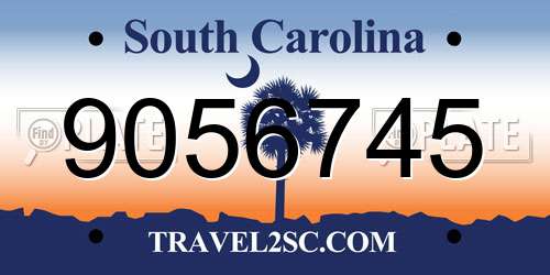 9056745 South Carolina License Plate