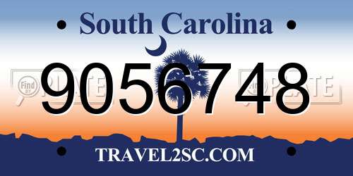 9056748 South Carolina License Plate