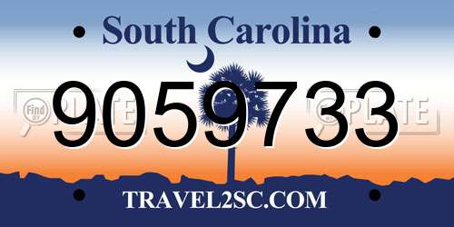 9059733 South Carolina License Plate