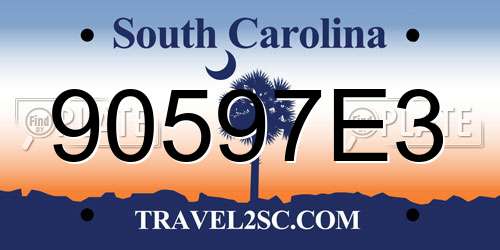 90597E3 South Carolina License Plate
