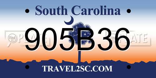 905B36 South Carolina License Plate