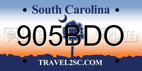 905BDO South Carolina License Plate