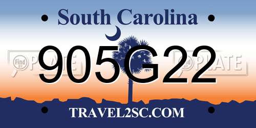 905G22 South Carolina License Plate