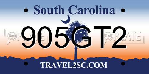 905GT2 South Carolina License Plate