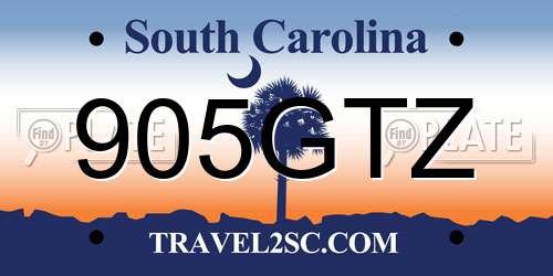 905GTZ South Carolina License Plate