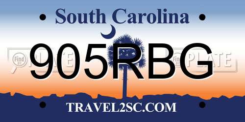 905RBG South Carolina License Plate