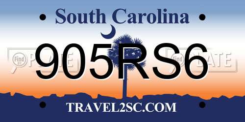 905RS6 South Carolina License Plate