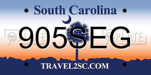 905SEG South Carolina License Plate