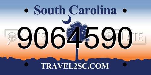 9064590 South Carolina License Plate