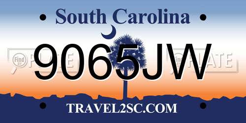 9065JW South Carolina License Plate