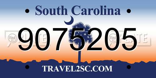 9075205 South Carolina License Plate