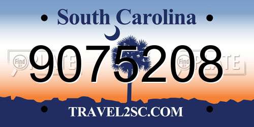 9075208 South Carolina License Plate