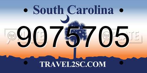9075705 South Carolina License Plate