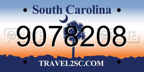 9078208 South Carolina License Plate
