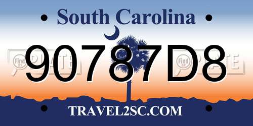 90787D8 South Carolina License Plate