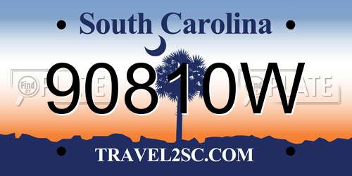90810W South Carolina License Plate
