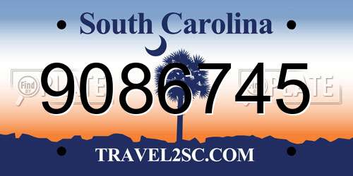 9086745 South Carolina License Plate