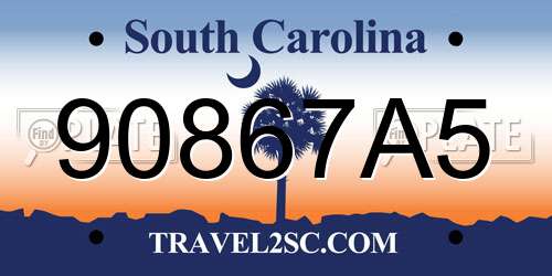 90867A5 South Carolina License Plate