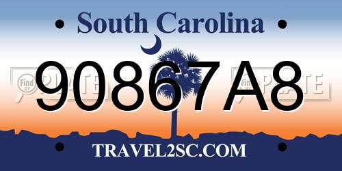90867A8 South Carolina License Plate