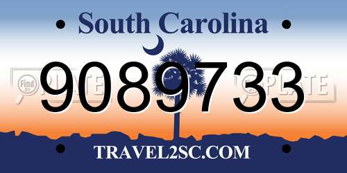 9089733 South Carolina License Plate