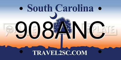 908ANC South Carolina License Plate