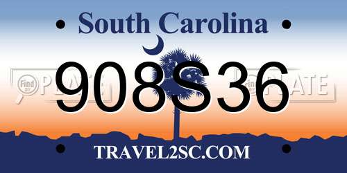 908S36 South Carolina License Plate