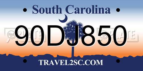 90DJ850 South Carolina License Plate