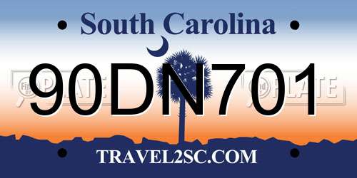 90DN701 South Carolina License Plate