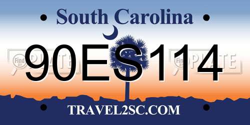 90ES114 South Carolina License Plate