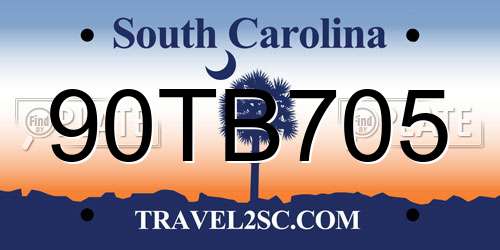 90TB705 South Carolina License Plate