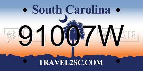 91007W South Carolina License Plate